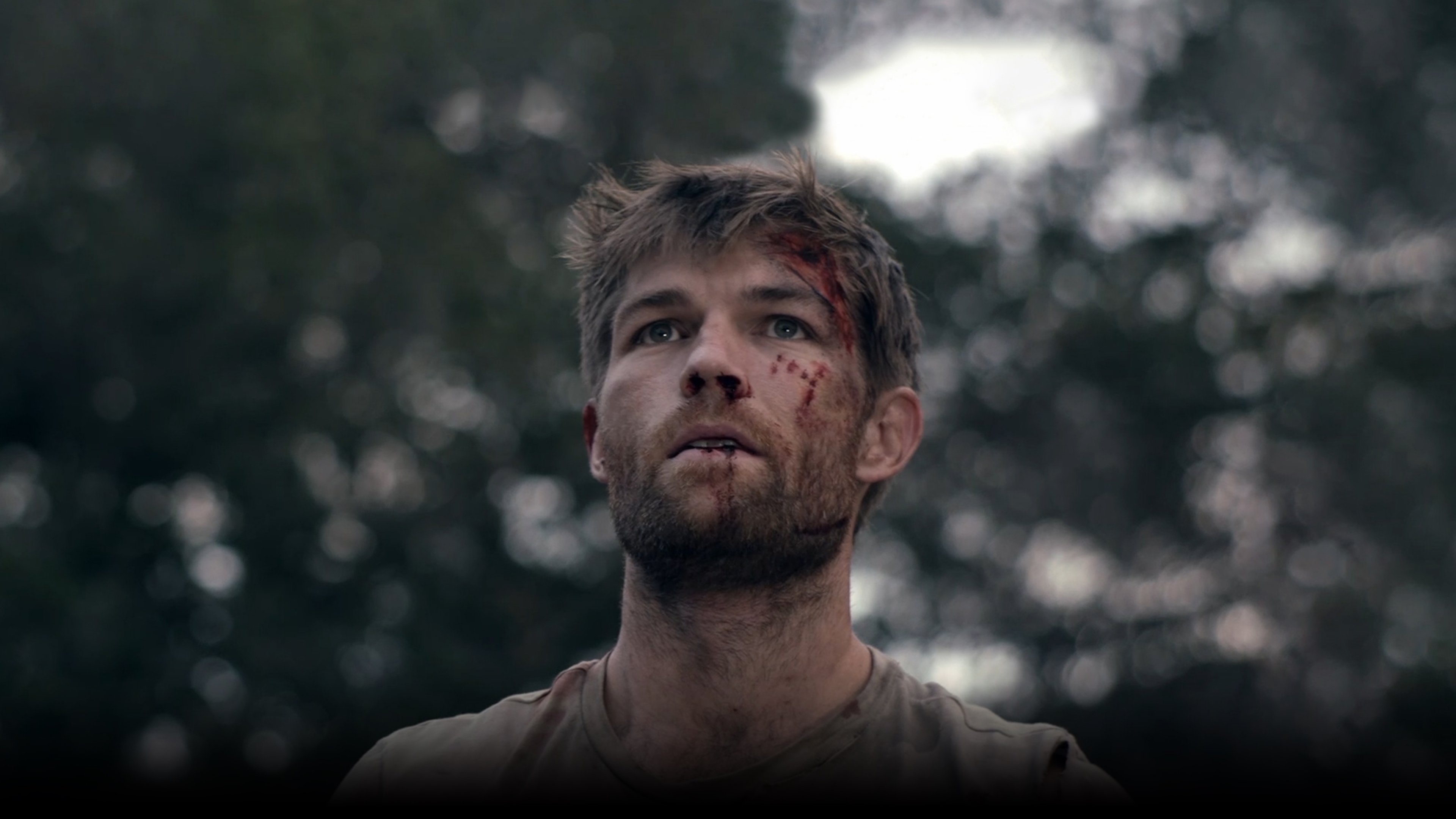 The Clearing Background