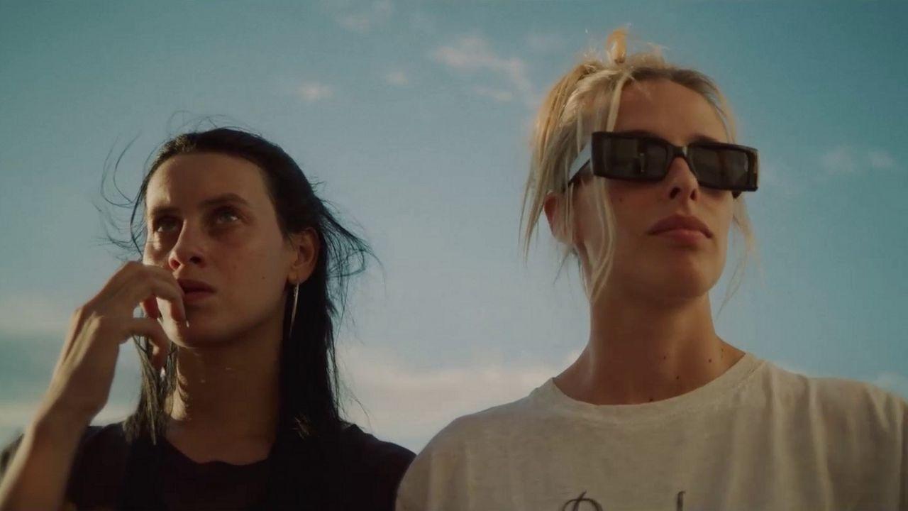 Libélulas Background