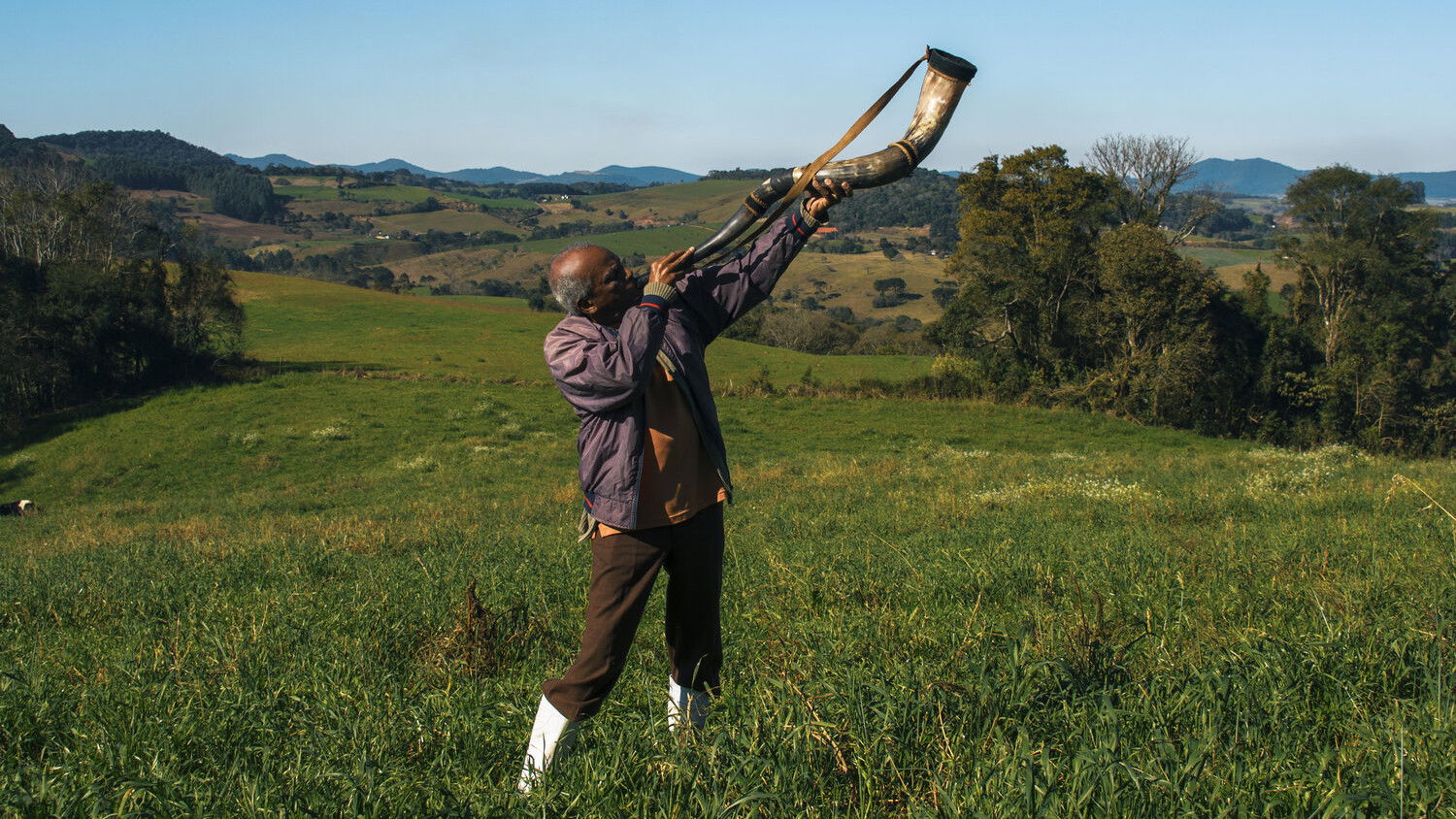 Memory House Background