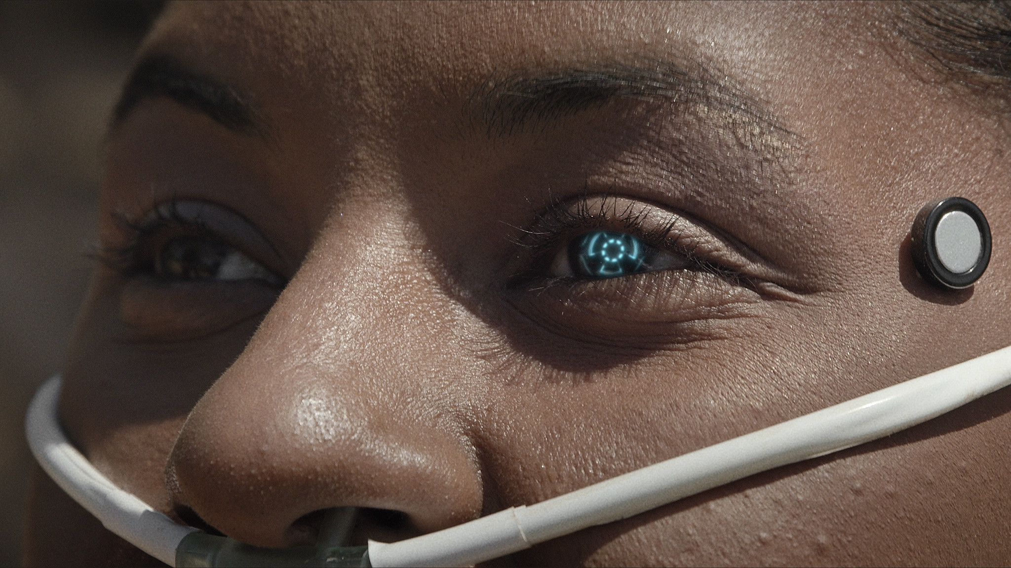 SERTÃO 2138 Background