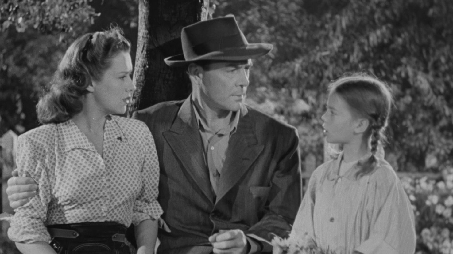 Driftwood Background