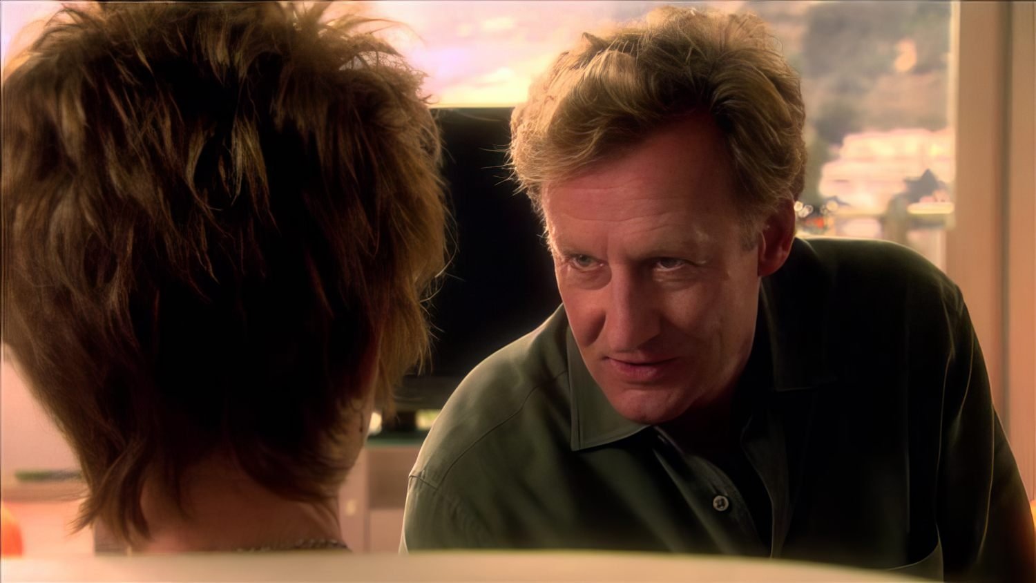 The Starter Wife Background