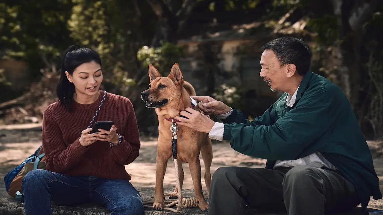 An Abandoned Team Background