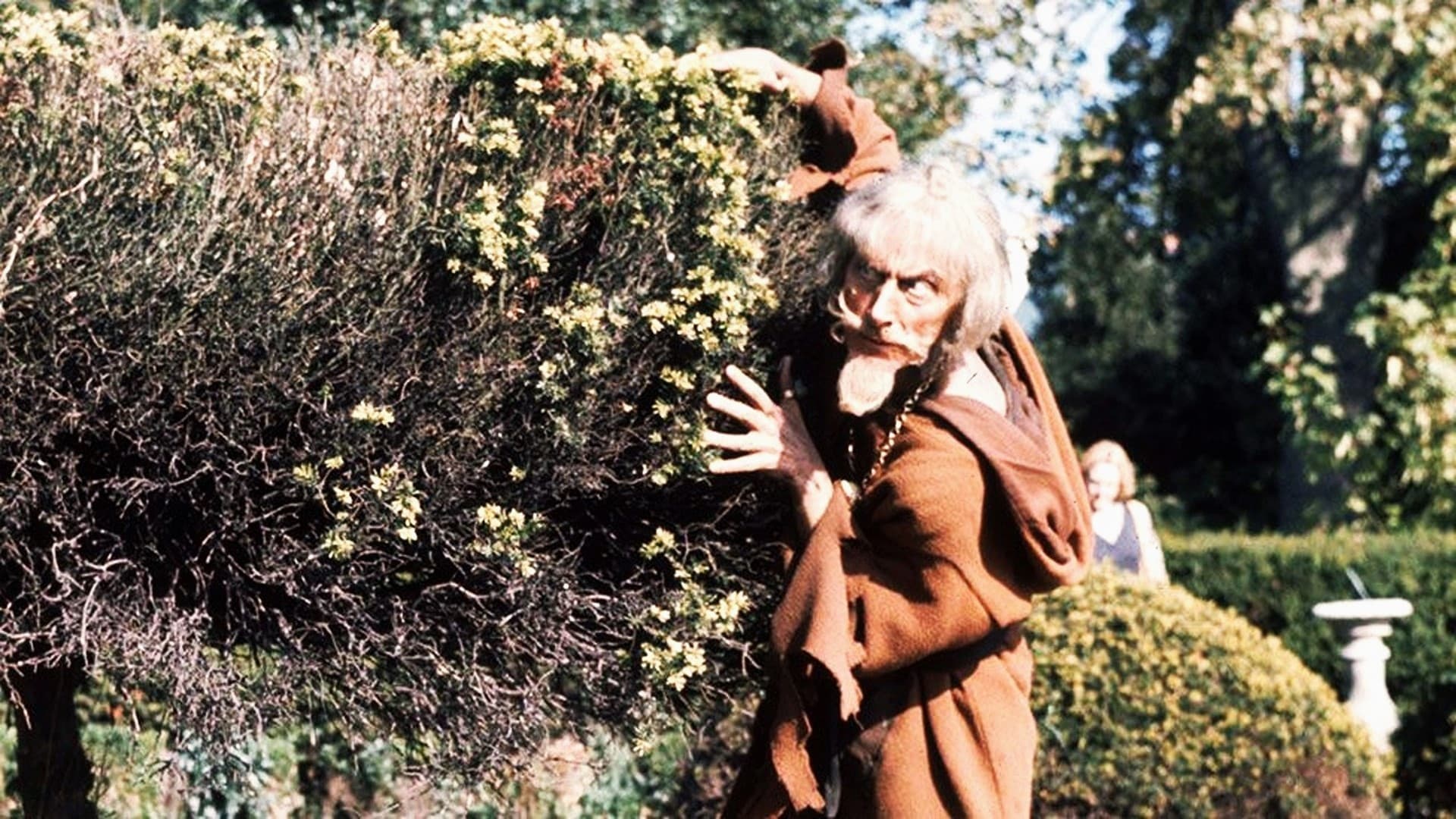 Catweazle Background