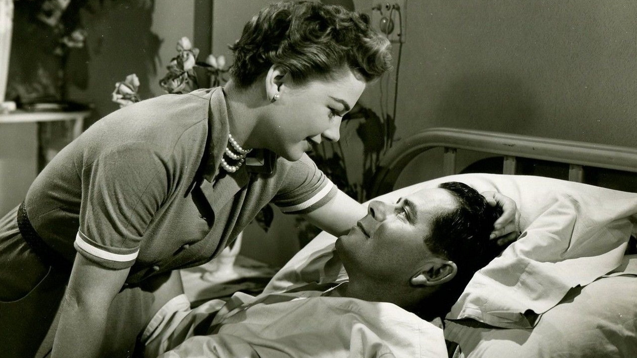 Follow the Sun Background