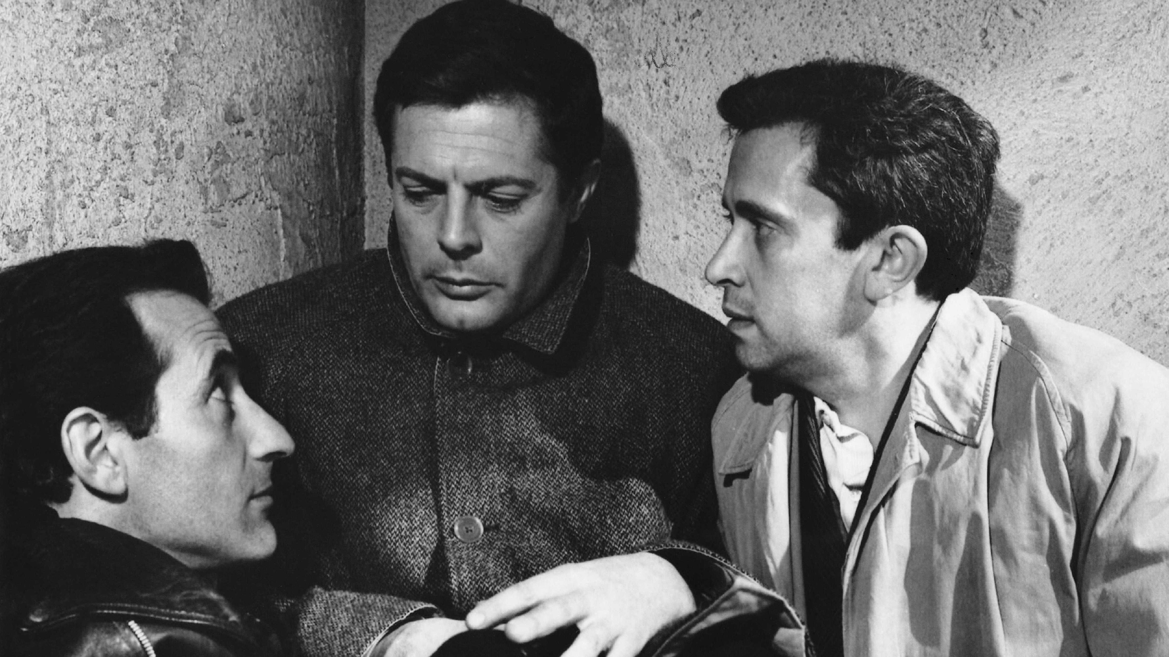 The Assassin Background