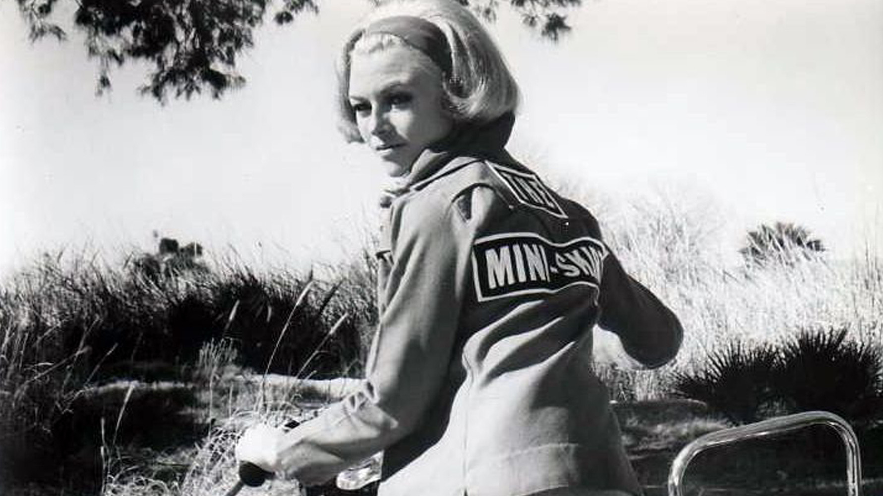 The Mini-Skirt Mob Background