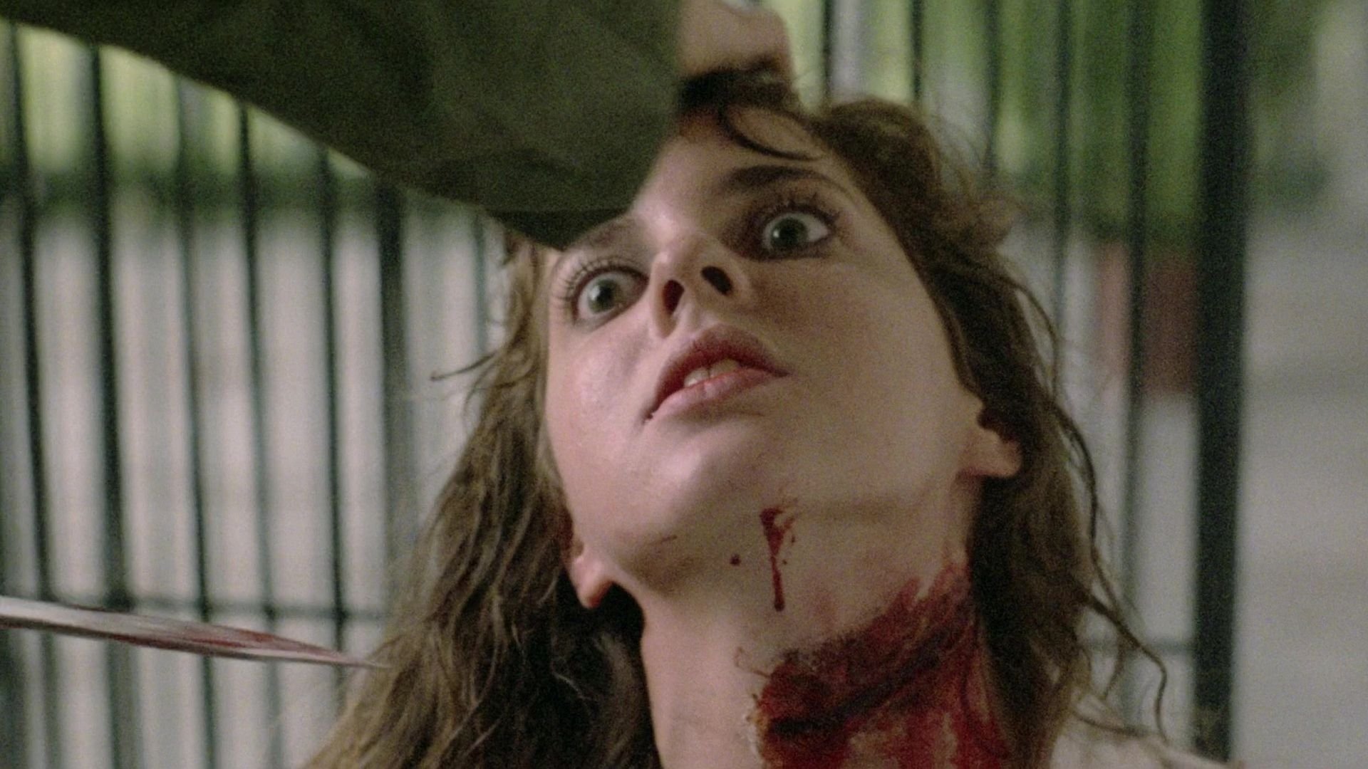 Killing Birds Background