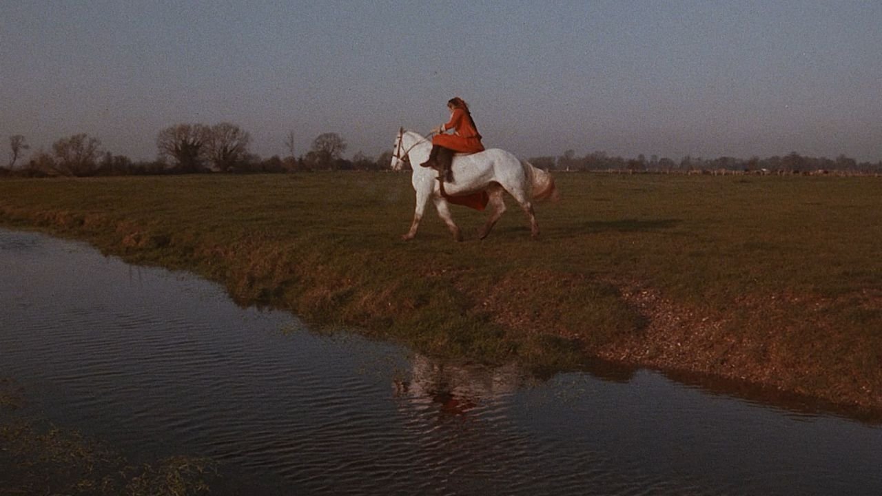 Fanny Hill Background