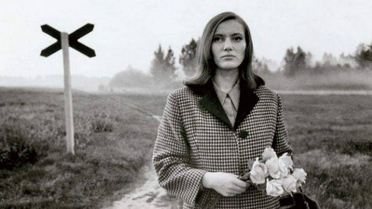 Pimedad aknad Background