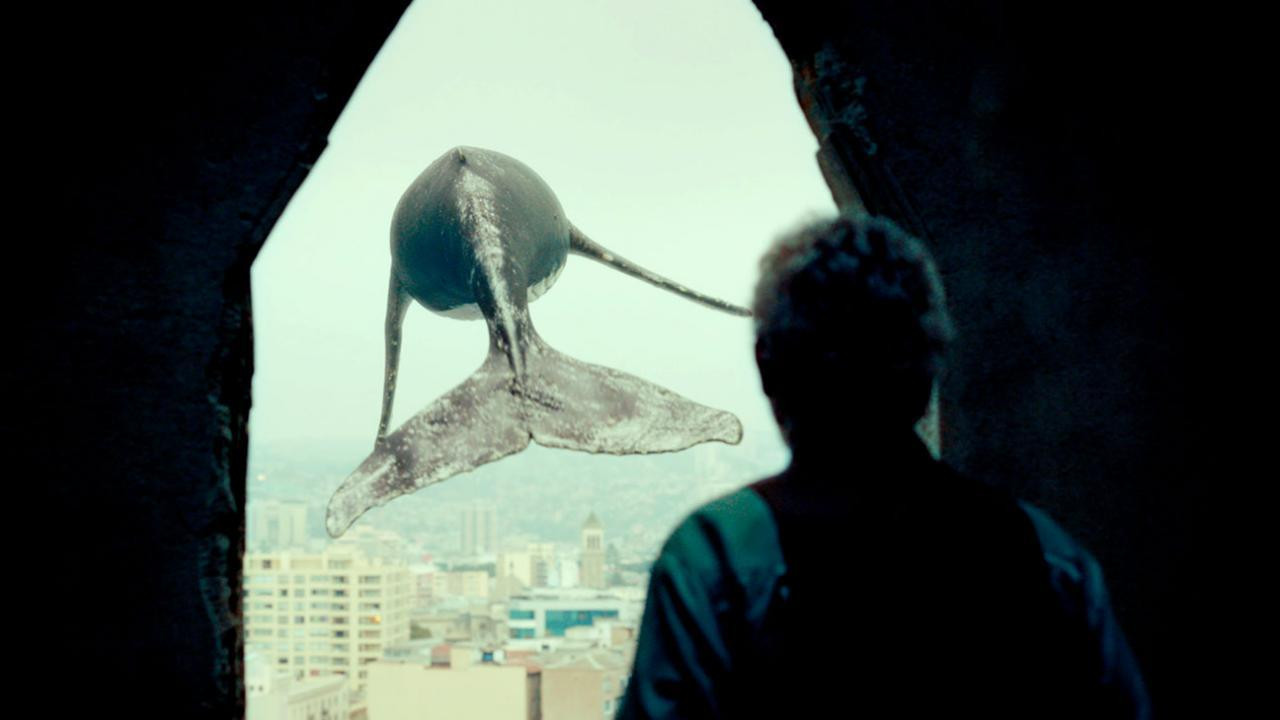 Los versos del olvido Background