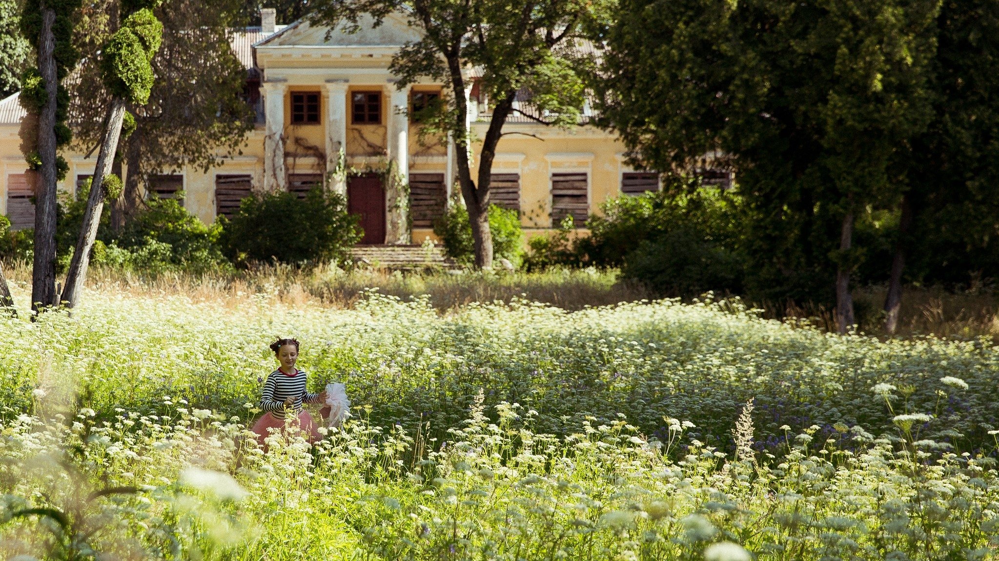 A Butterfly's Heart Background