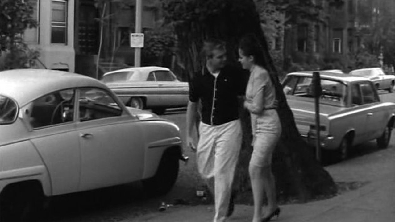 Kitten in a Cage Background