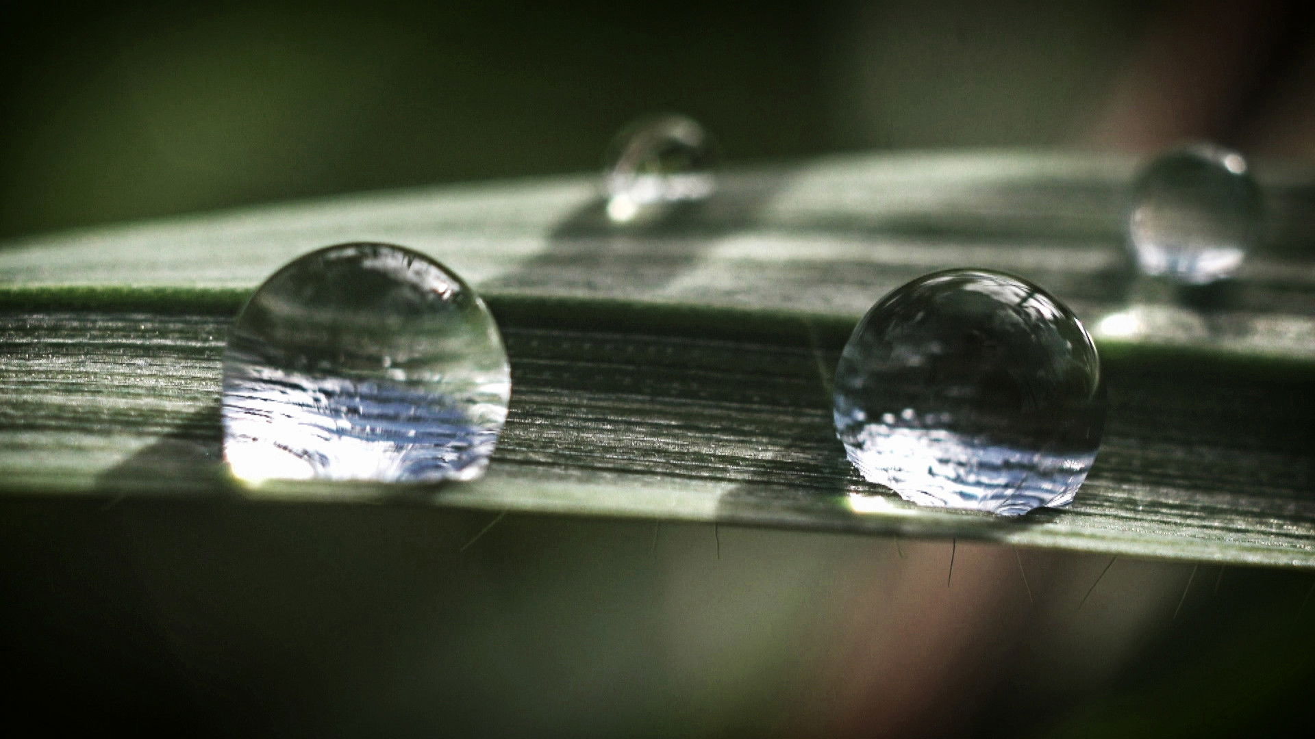 Efter floden Background