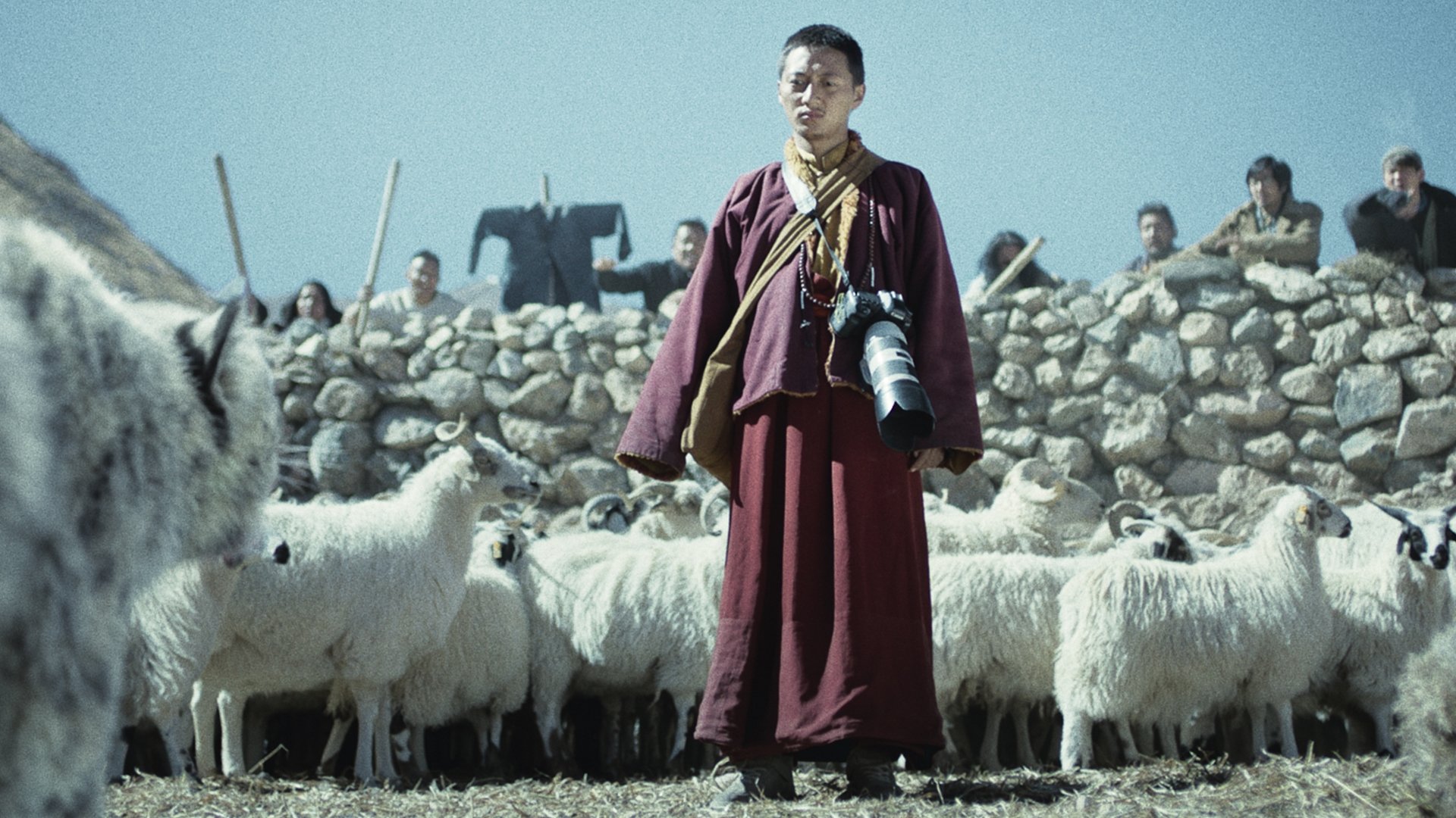 Snow Leopard Background