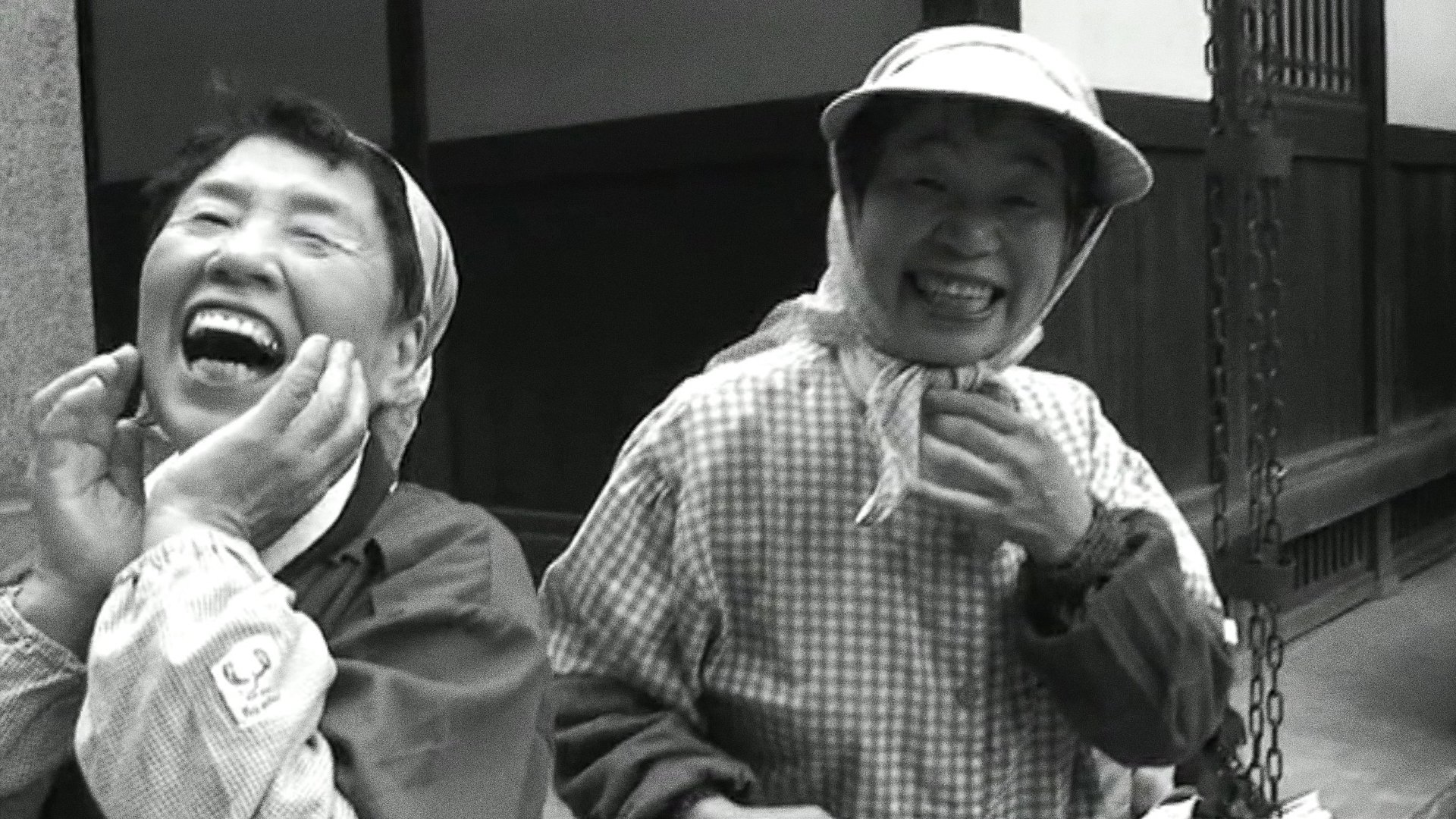 Cinematic Correspondences: Jonas Mekas - J.L. Guerin Background