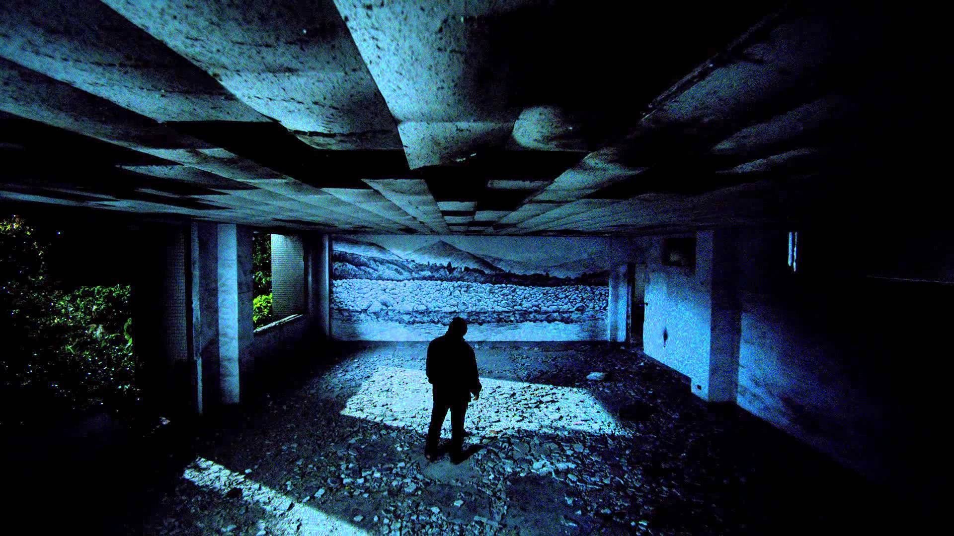 Stray Dogs Background