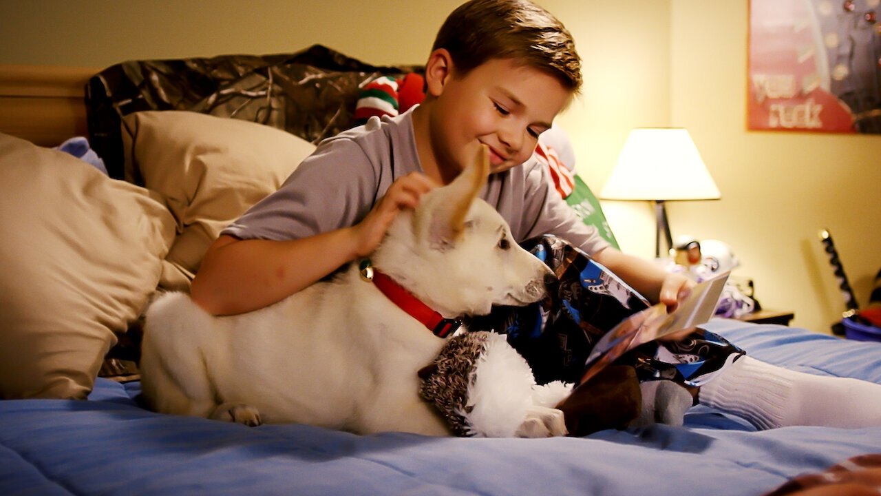 A Belle for Christmas Background