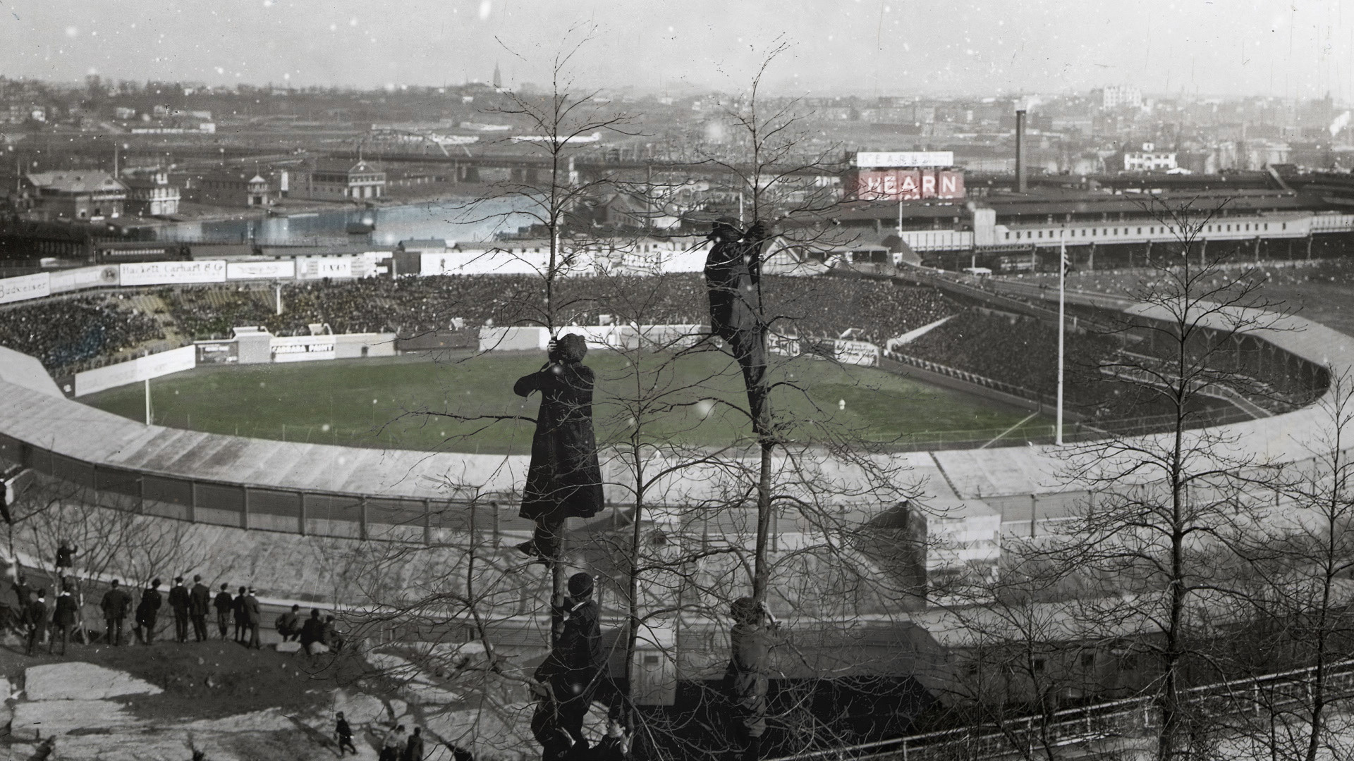 Sport in America: Our Defining Stories Background