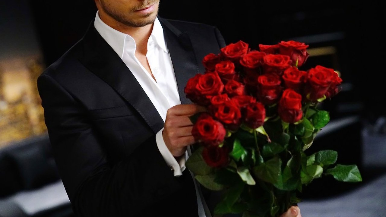 Der Bachelor Background