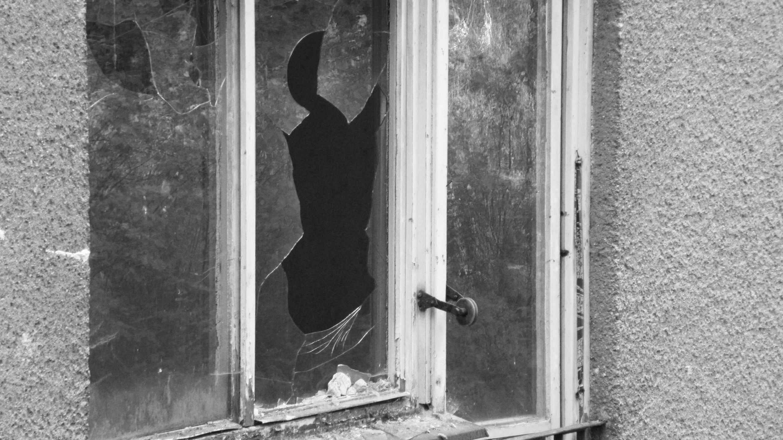 Med politiets øjne Background