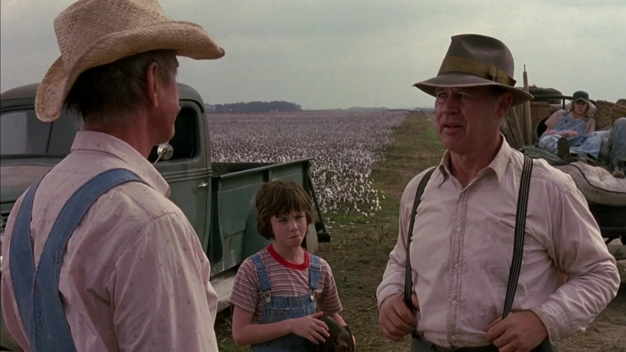 A Painted House Background