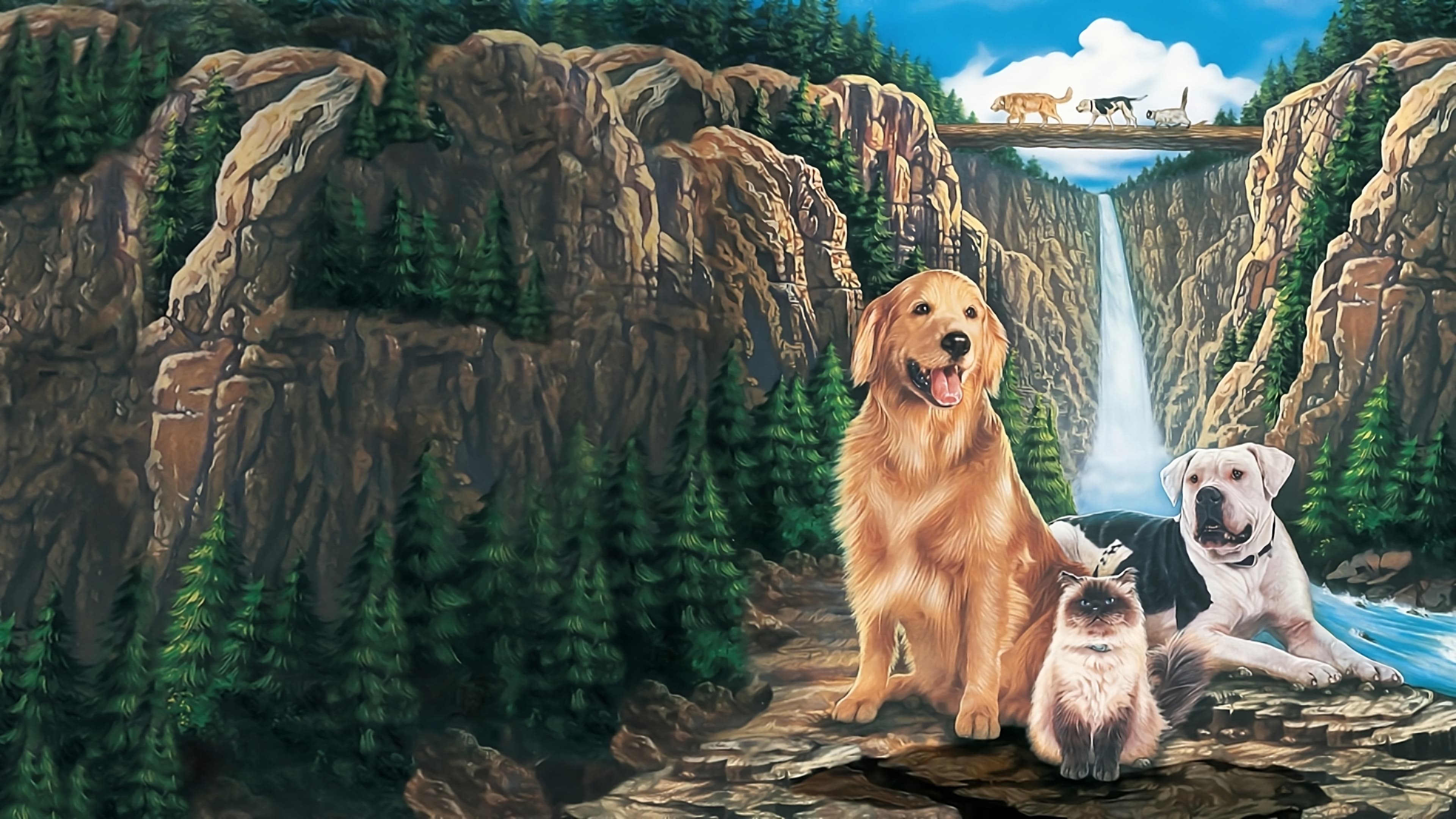 Homeward Bound: The Incredible Journey Background