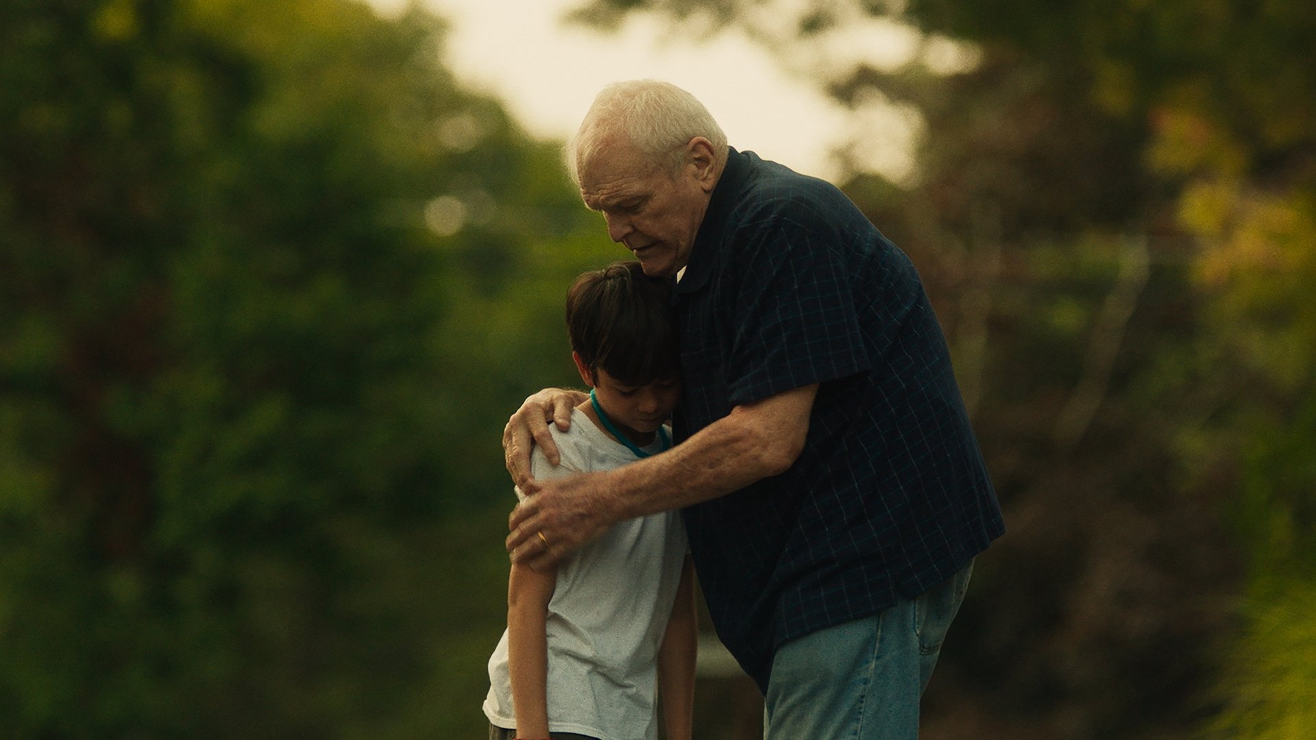 Driveways Background