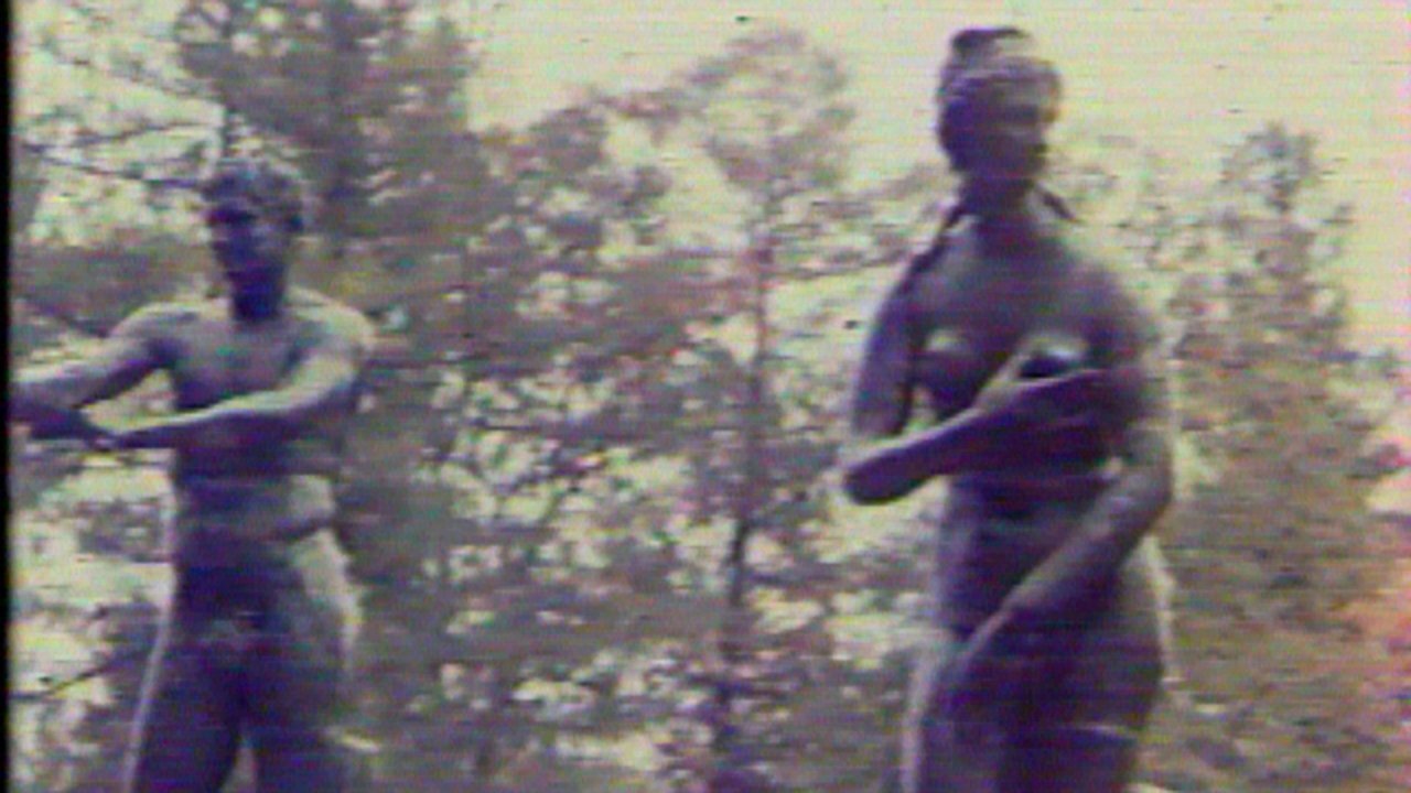 Metamorphosis Background