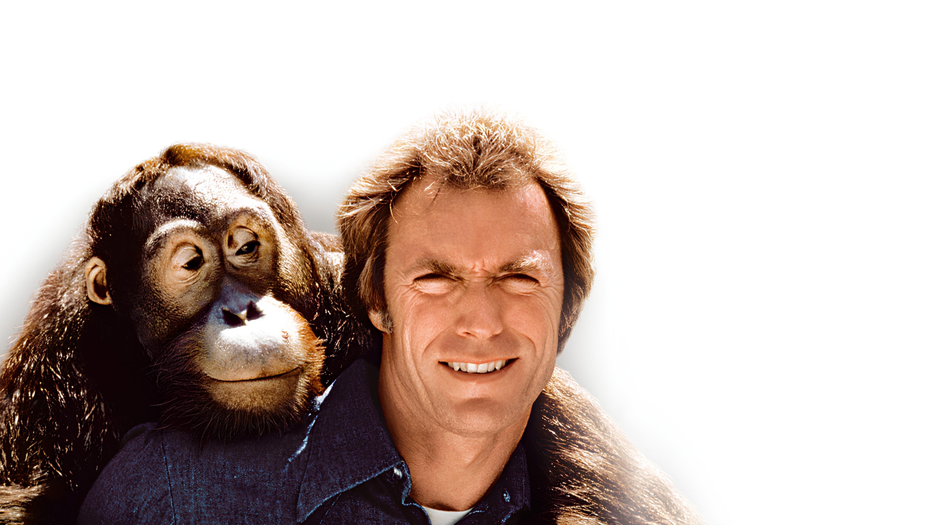 Any Which Way You Can Background