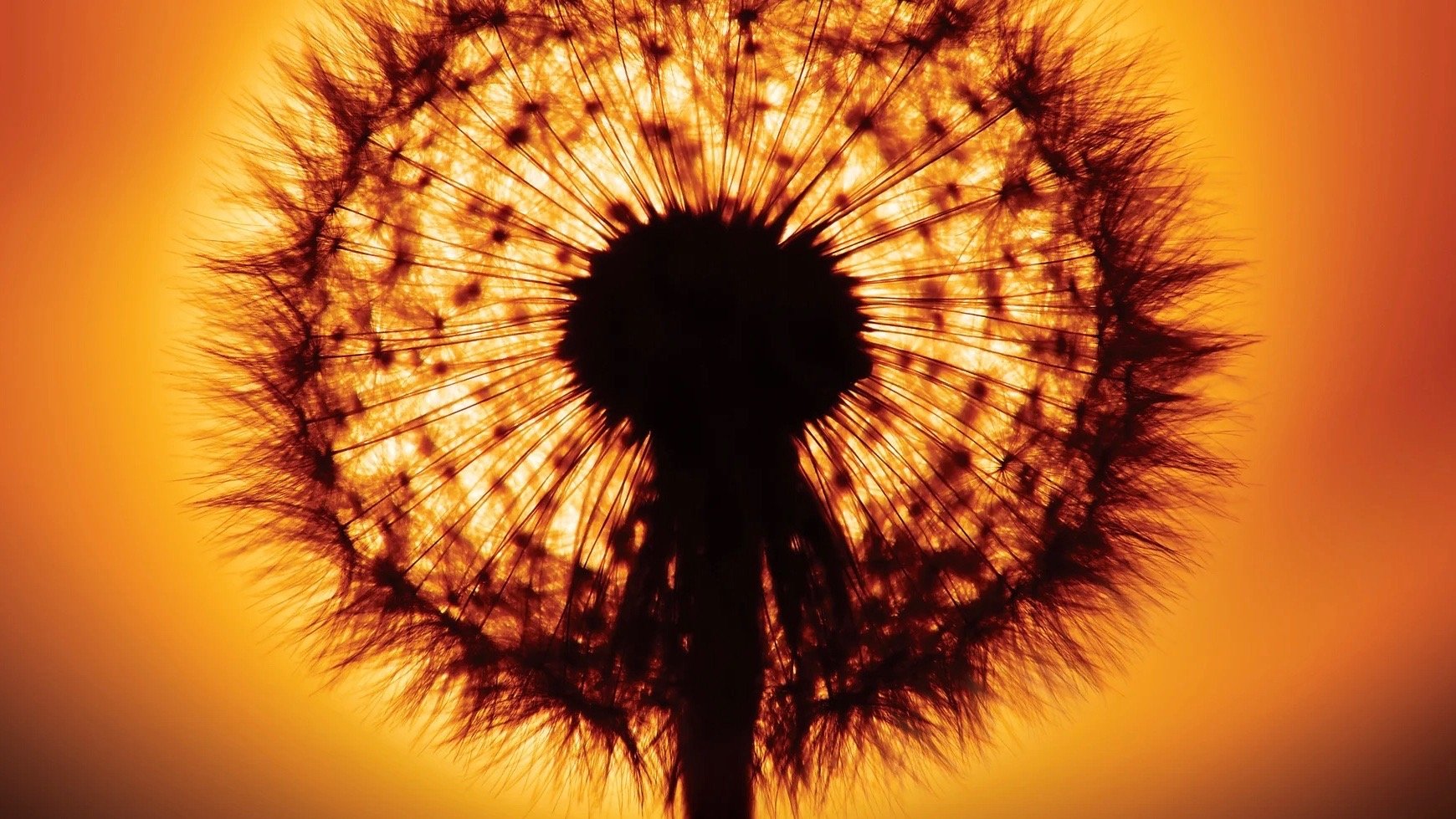 In the Beginning There Was Light Background