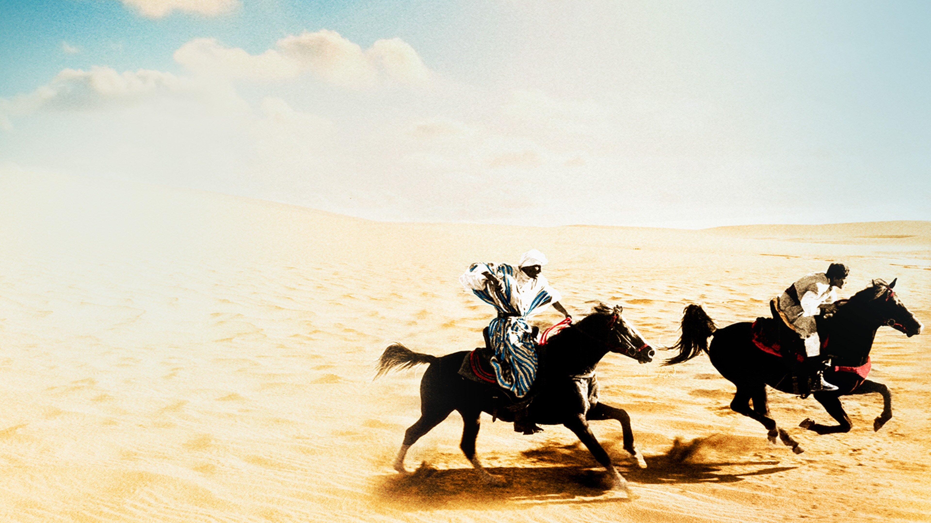 The Black Stallion Returns Background