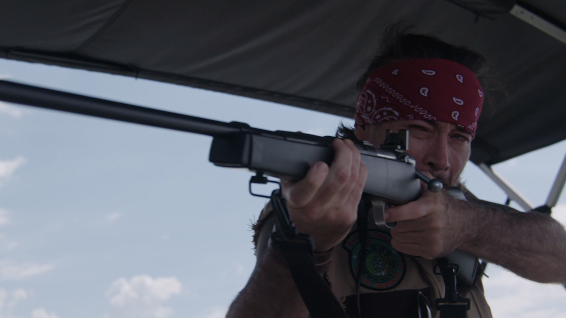 Bull Shark 2 Background