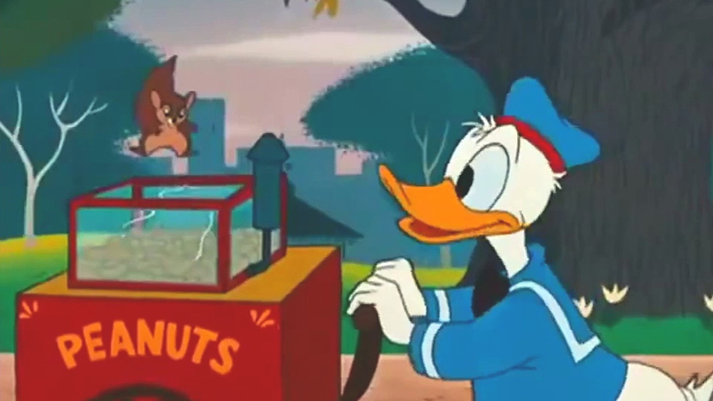 The Flying Squirrel Background