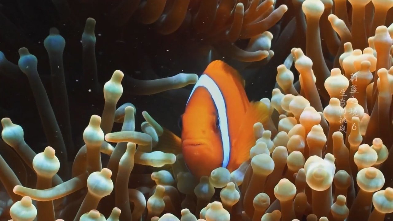 Blue Realm Background