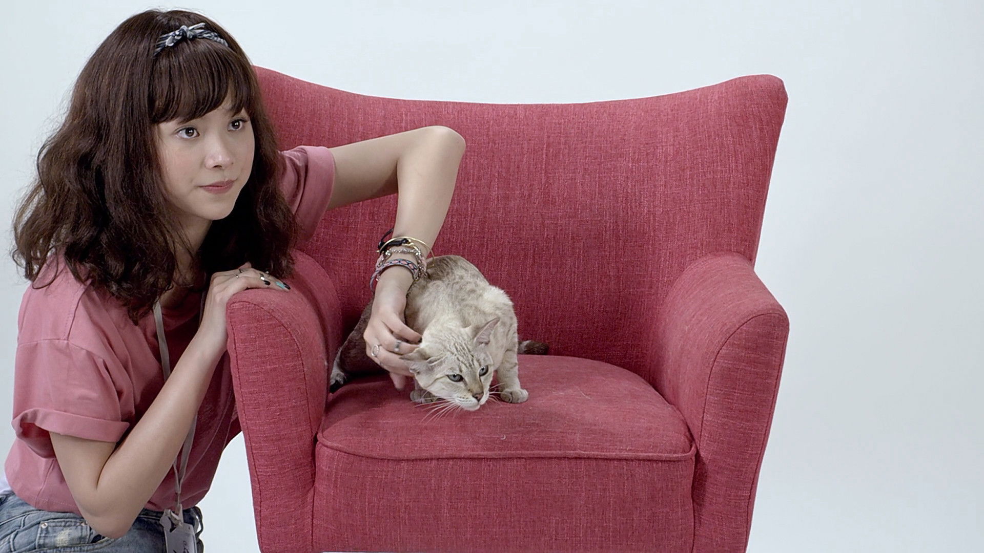 Cat A Wabb Background