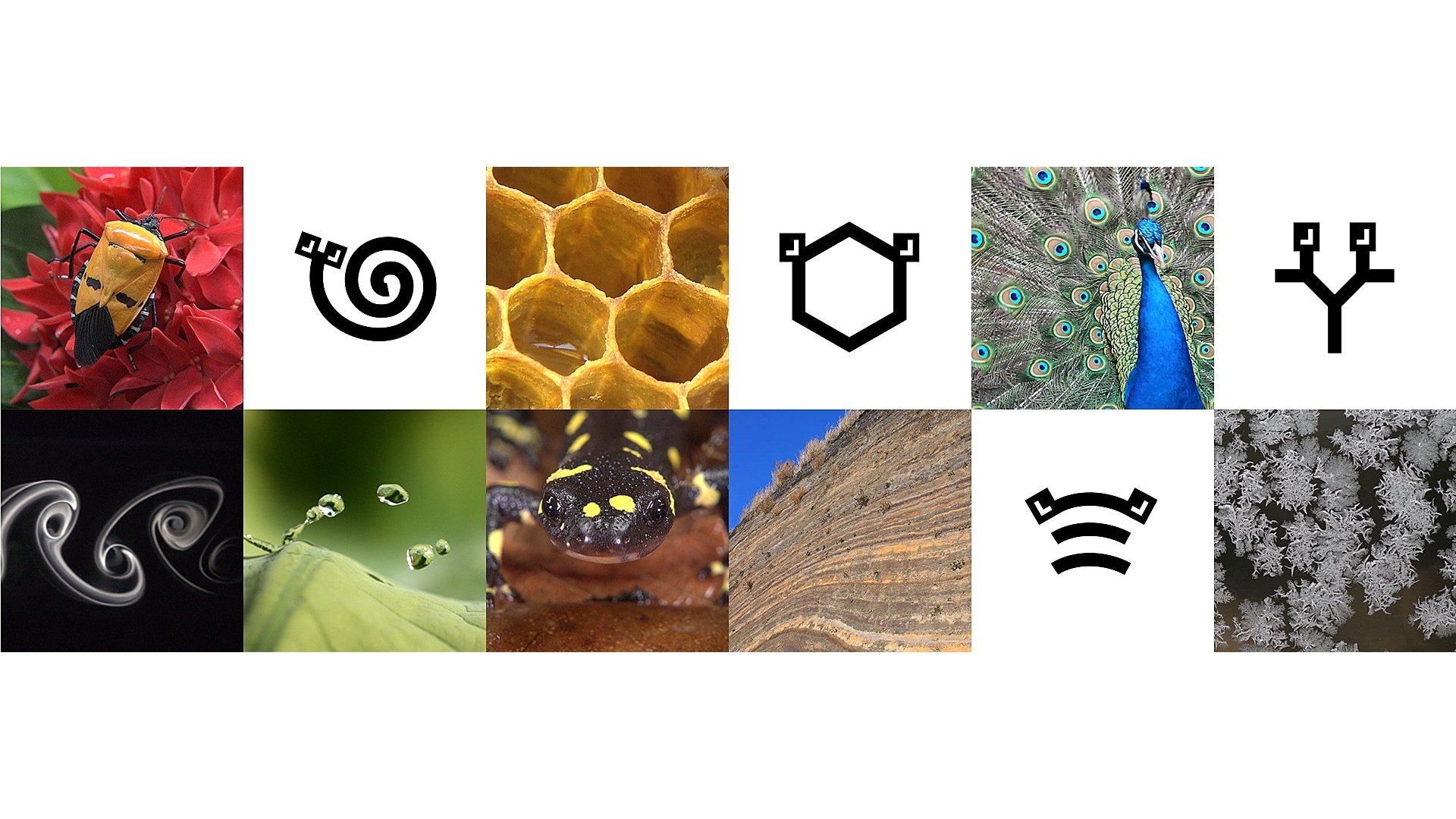 ミミクリーズ Background