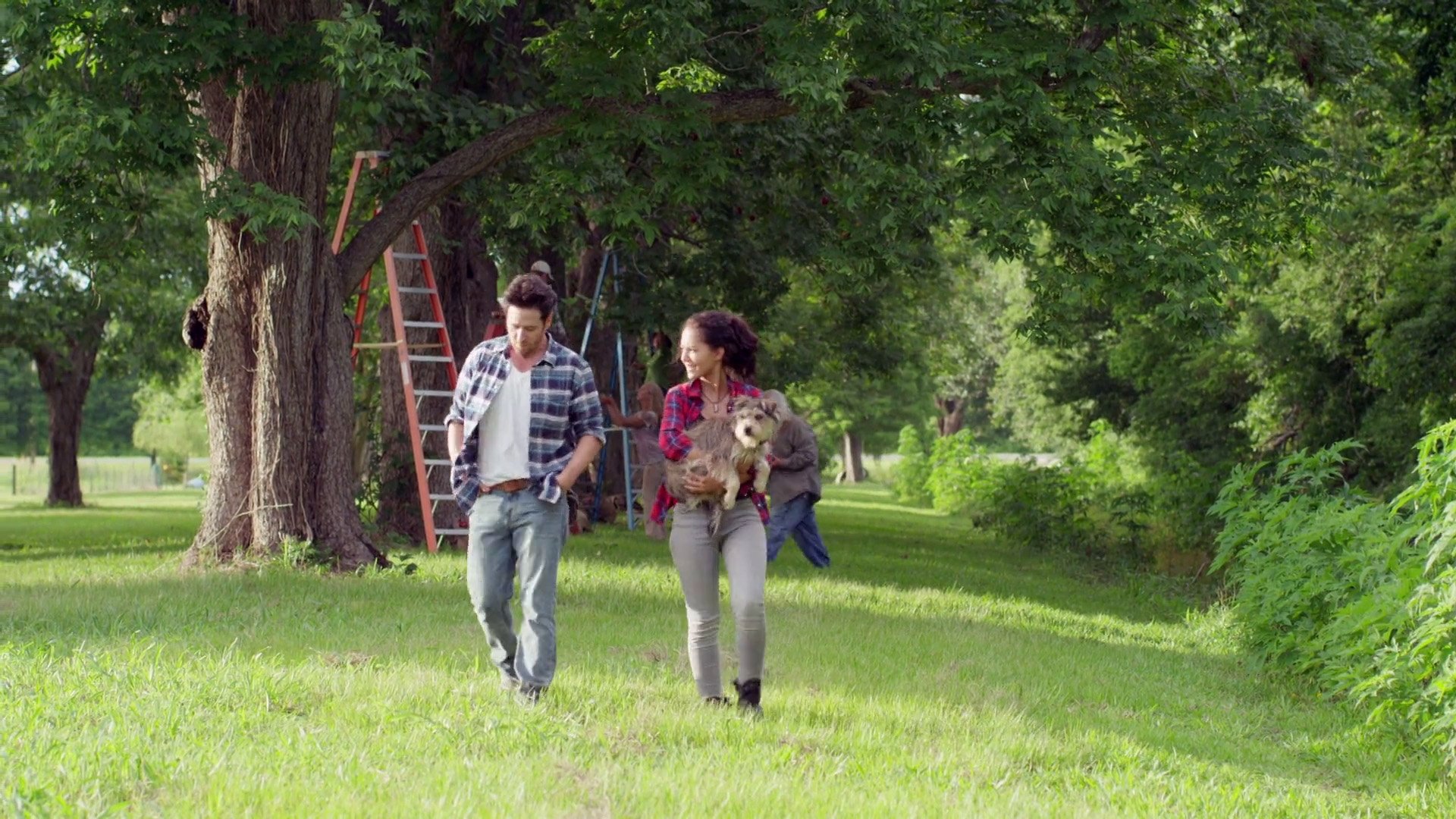 Night of the Wild Background