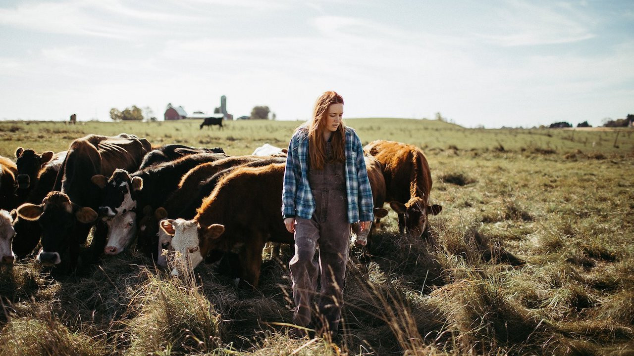 Green and Gold Background