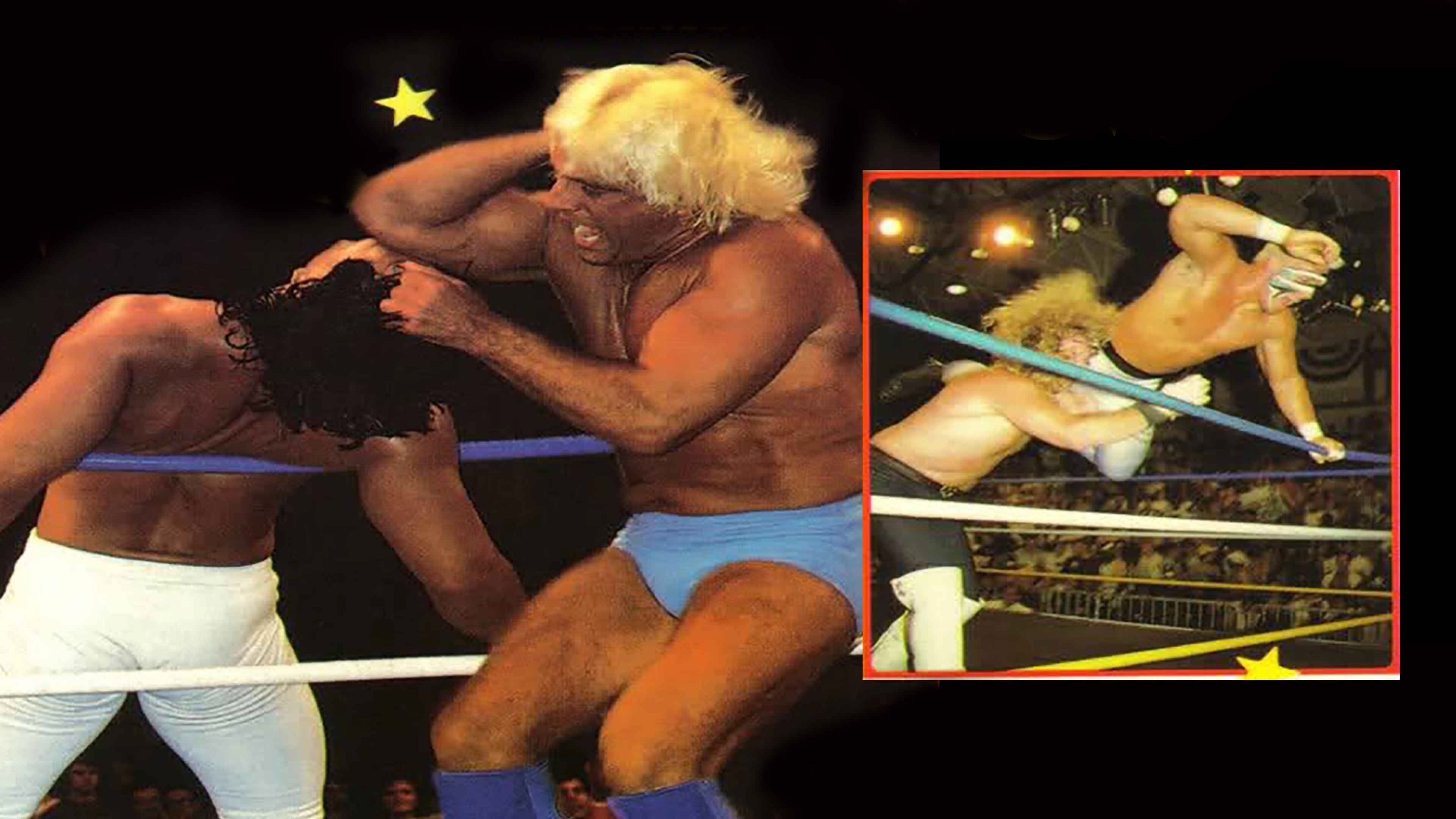 NWA The Great American Bash 1989 Background