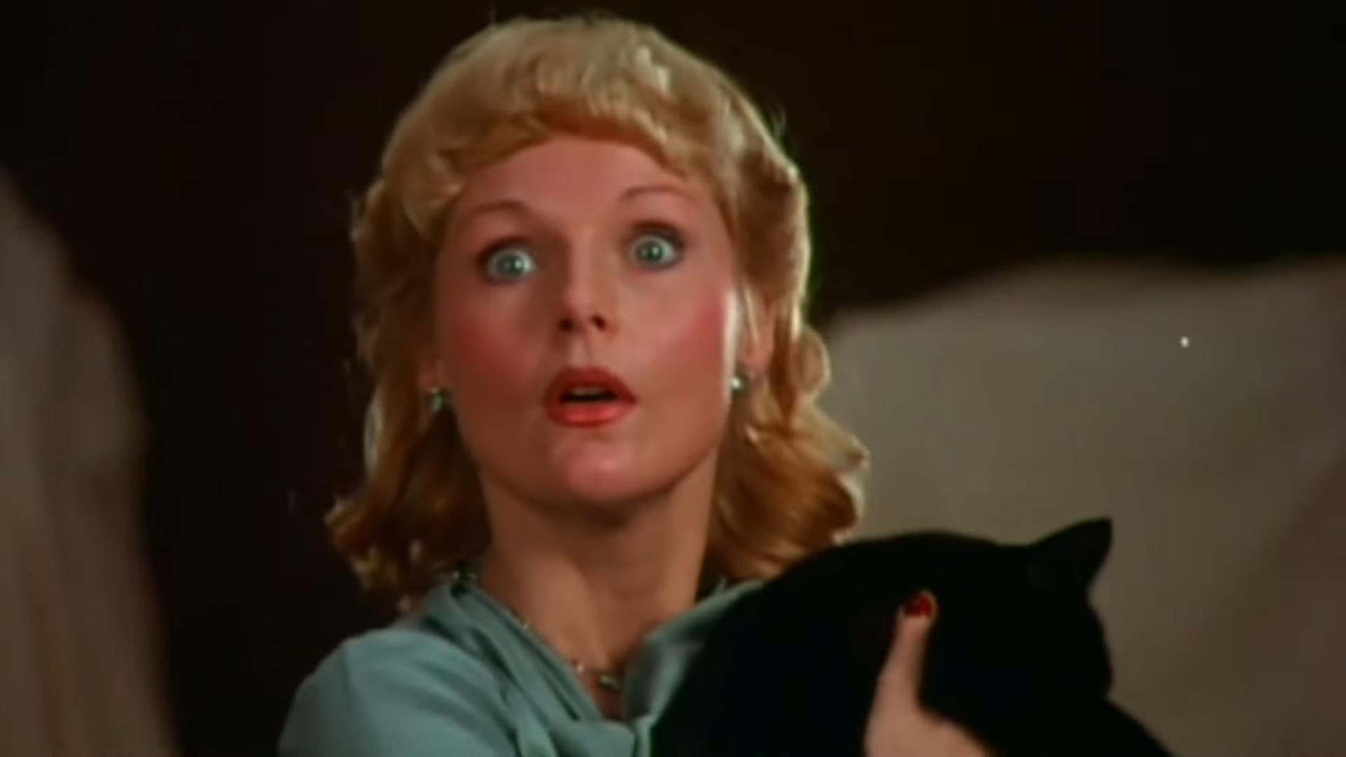 The Cat and the Canary Background