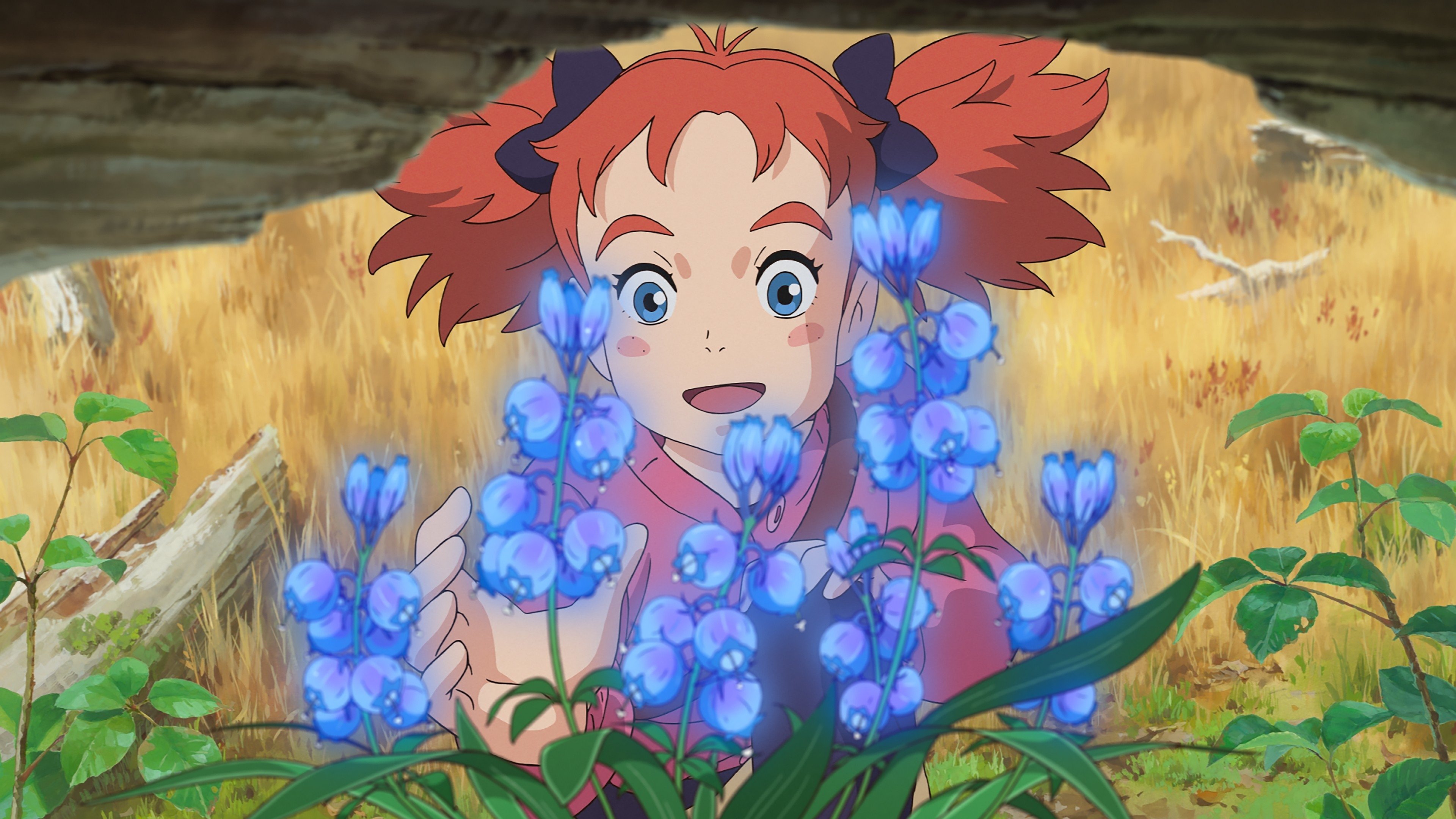 Mary and The Witch's Flower Background