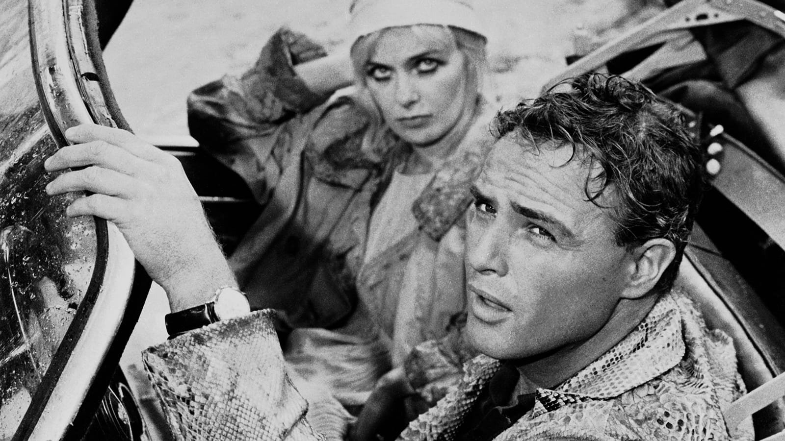 The Fugitive Kind Background