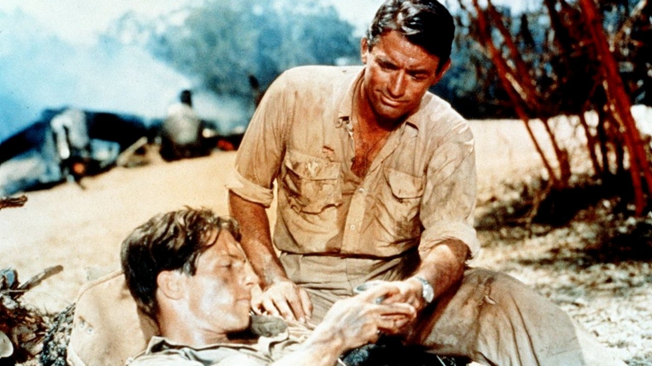 The Purple Plain Background