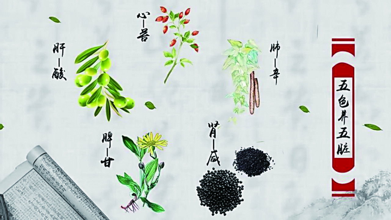 本草传 Background