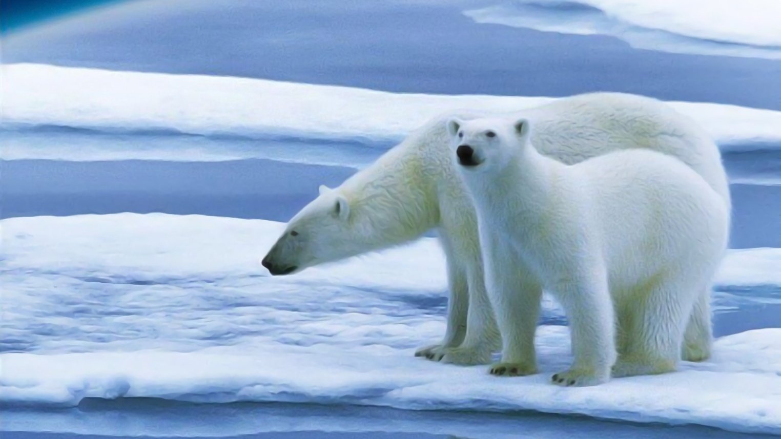 Planet Earth: The Future Background