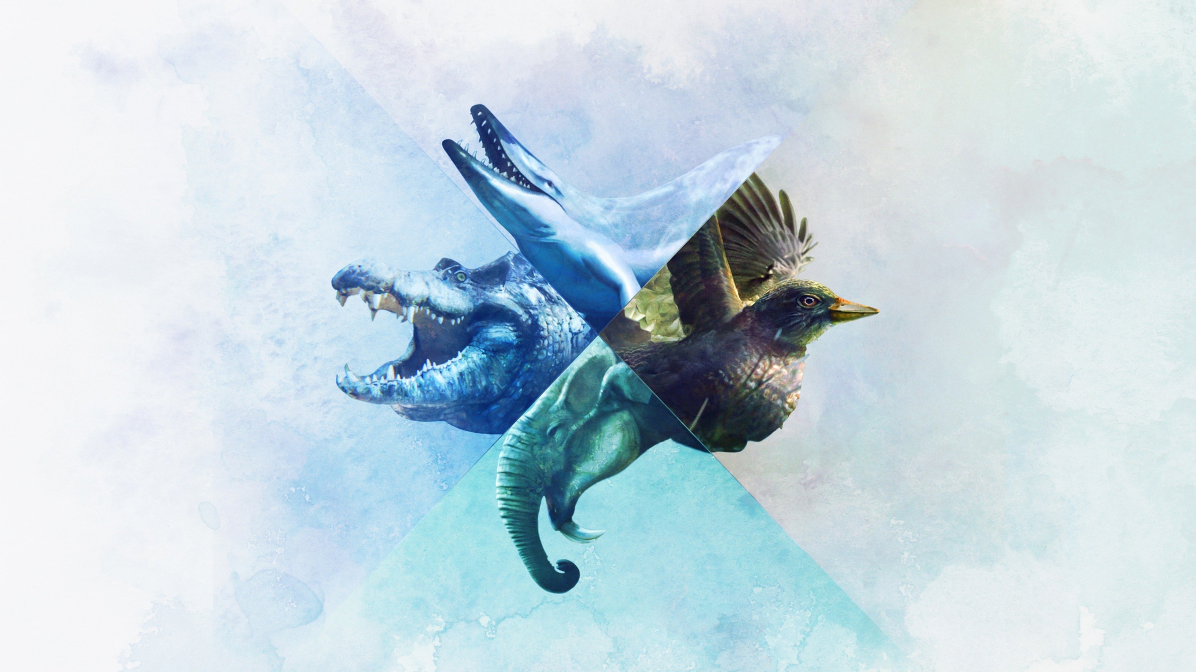 When Whales Walked: Journeys in Deep Time Background