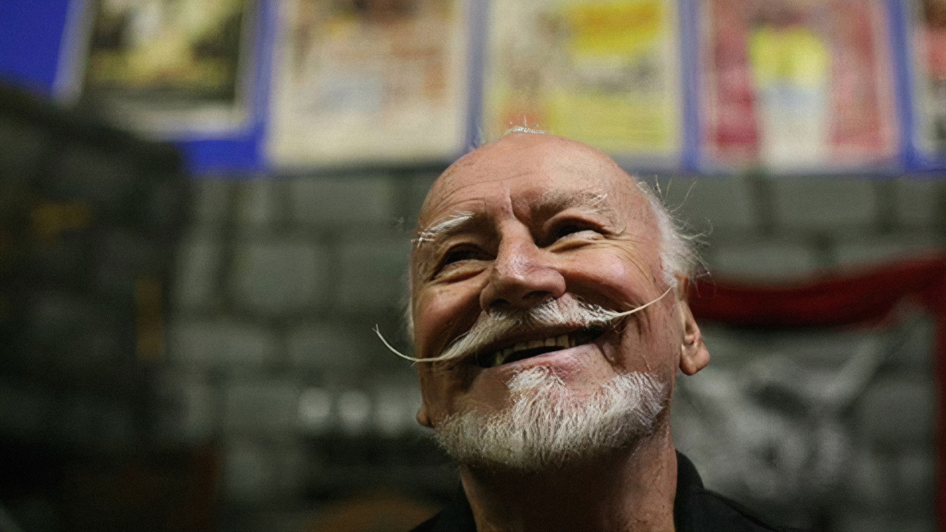 The Wild World of Ted V. Mikels Background