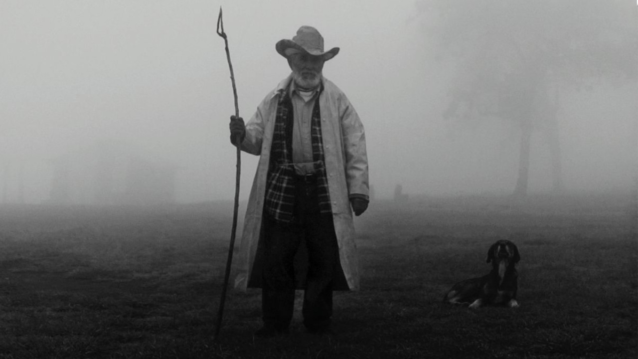 Dioses de México Background