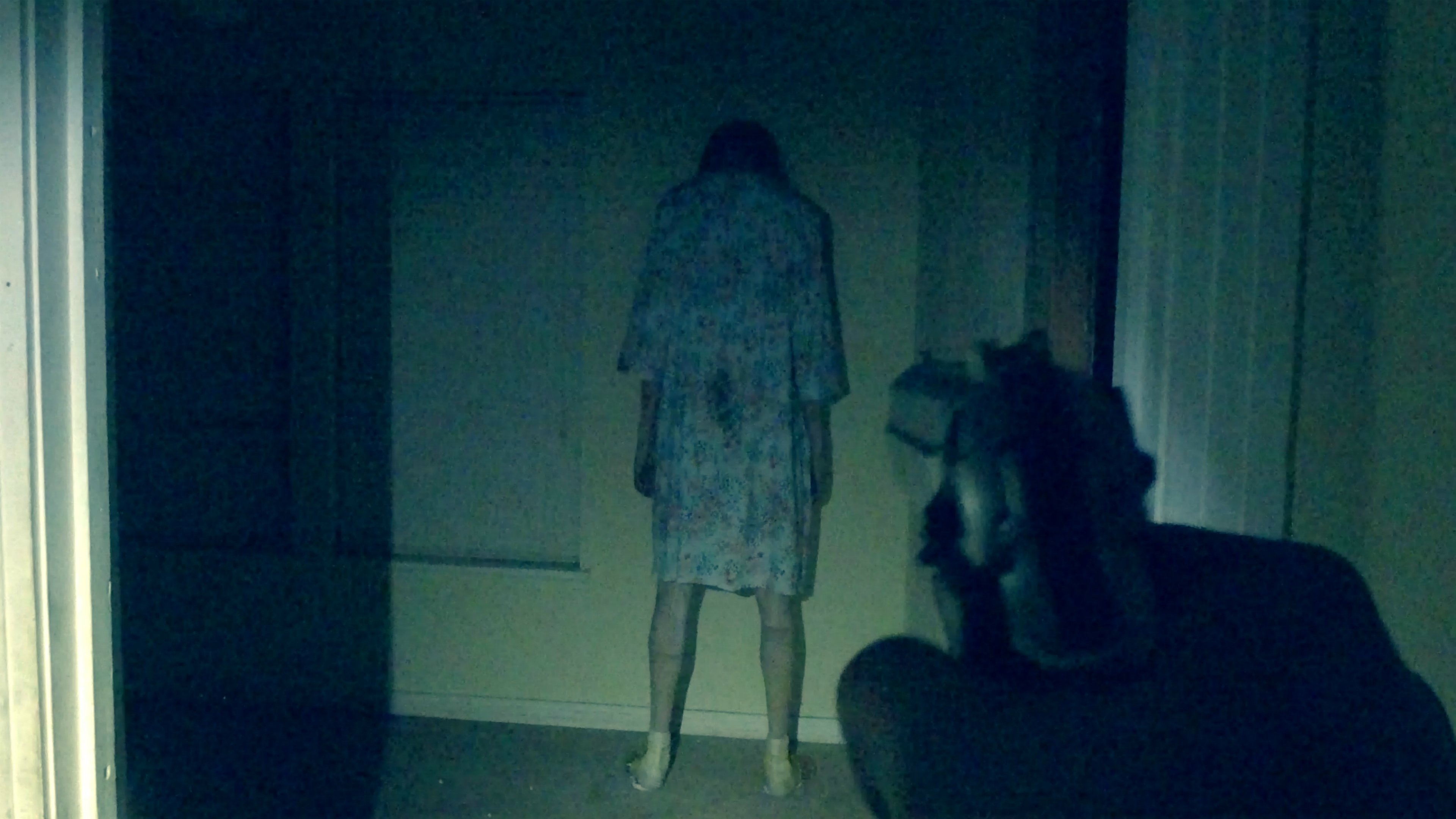 The Cop Cam Background